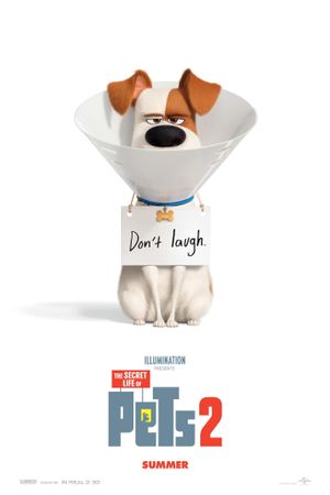 The Secret Life of Pets 2's poster