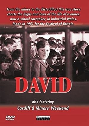 David's poster