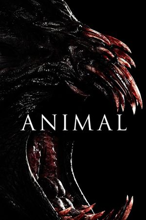 Animal's poster