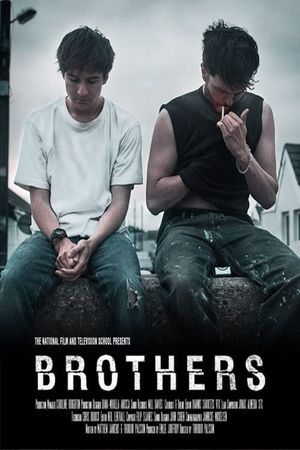 Brothers's poster