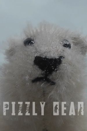 Pizzly Bear's poster