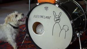 The Heart Is a Drum's poster