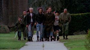 Suburbia's poster