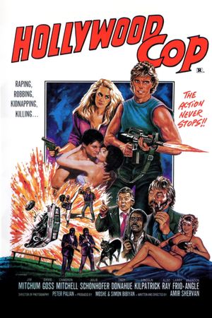 Hollywood Cop's poster
