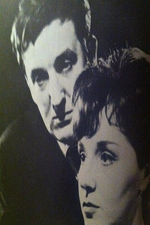 The Lover's poster image