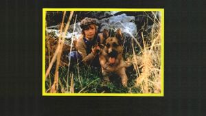 Zanna Bianca e il grande Kid's poster