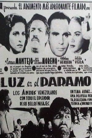 Luz en el páramo's poster