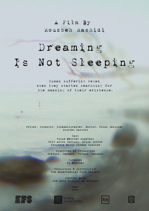 Dreaming Is Not Sleeping's poster