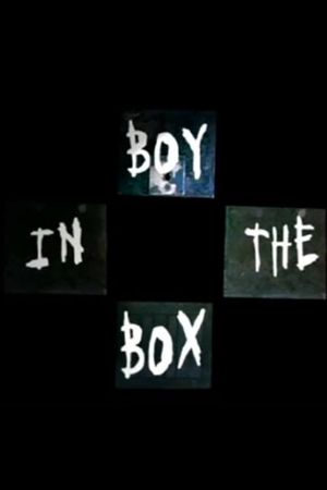 Boy In The Box's poster