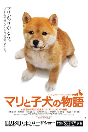 A Tale of Mari and Three Puppies's poster