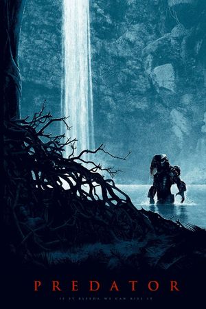 Predator's poster