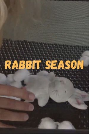 Rabbit Season's poster