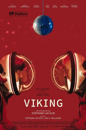 Viking's poster