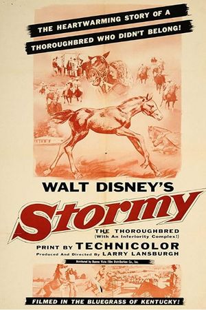 Stormy, the Thoroughbred's poster