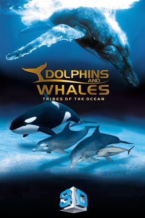 IMAX Dolphins and Whales: Tribes of the Ocean's poster