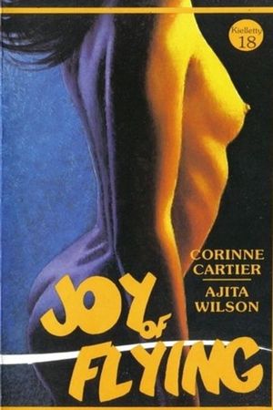 The Joy of Flying's poster image