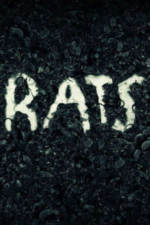 Rats's poster image