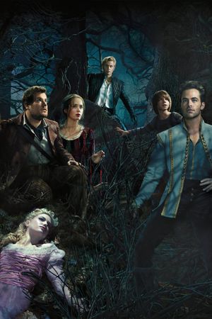 Into the Woods's poster