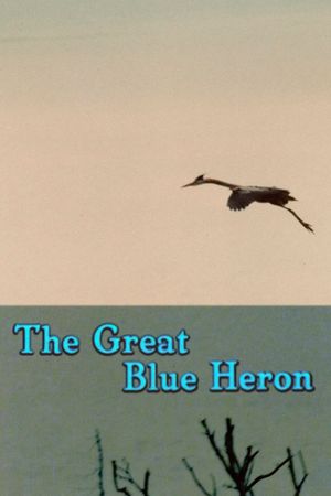 The Great Blue Heron's poster