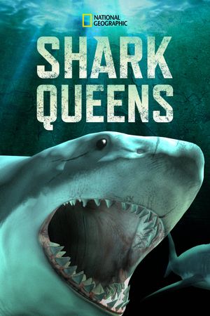 Shark Queens's poster