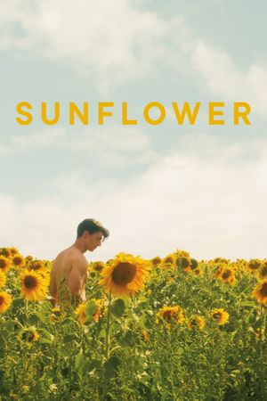 Sunflower's poster
