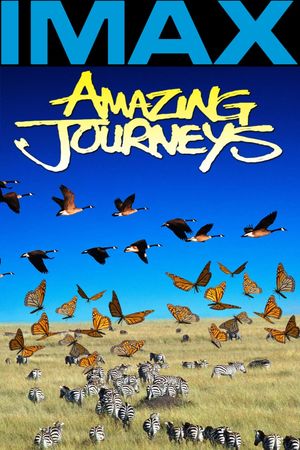 Amazing Journeys's poster