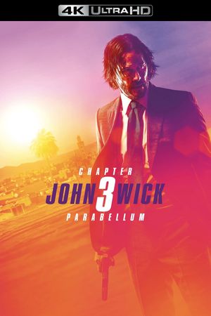 John Wick: Chapter 3 - Parabellum's poster