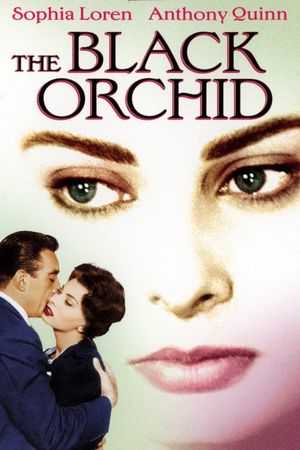 The Black Orchid's poster
