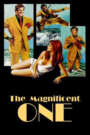 Le Magnifique's poster