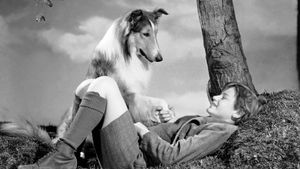 Lassie Come Home's poster