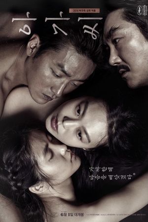 The Handmaiden's poster