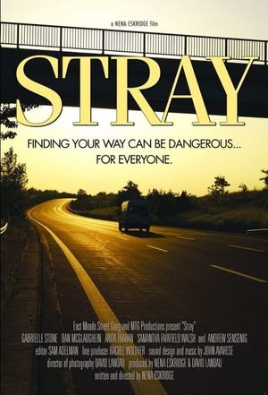 Stray's poster