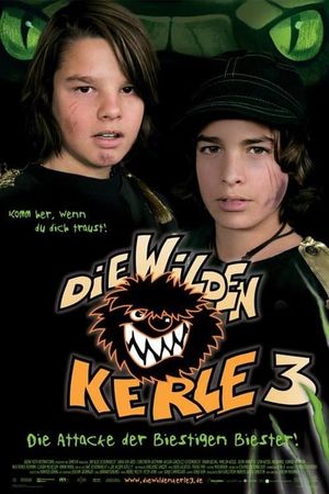 Die Wilden Kerle 3's poster