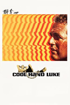 Cool Hand Luke's poster