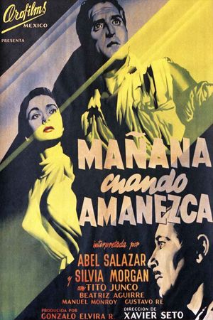 Mañana cuando amanezca's poster