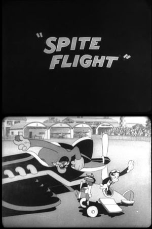 Spite Flight's poster