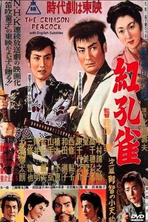 Shinshokoku monogatari, benikujaku dai-ippen: Nachi no kotengu's poster