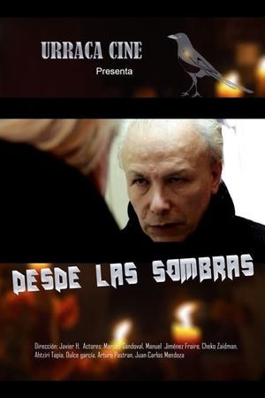 Desde las sombras's poster