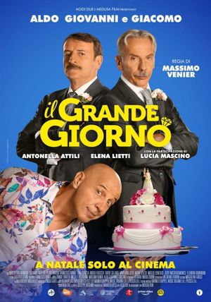 The Wedding Days's poster