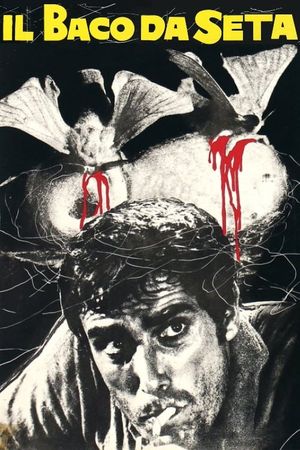 Il baco da seta's poster