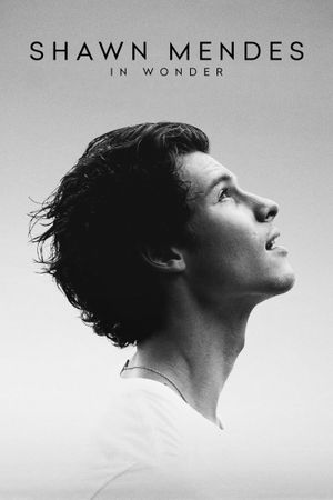 Shawn Mendes: In Wonder's poster