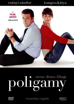 Poligamy's poster