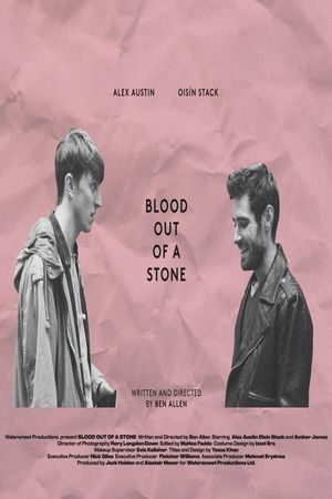 Blood Out of a Stone's poster