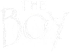 The Boy's poster