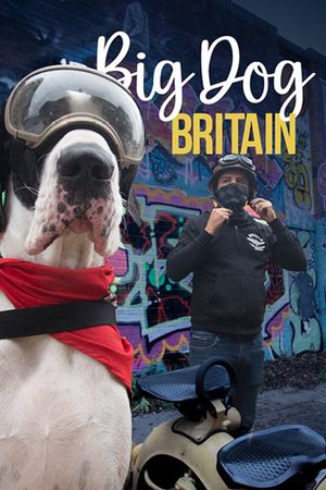 Big Dog Britain's poster