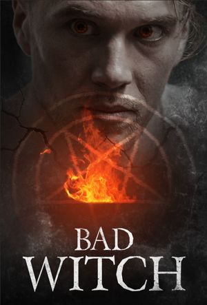 Bad Witch's poster