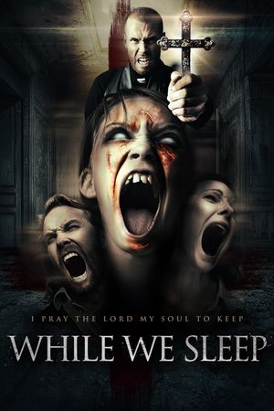 While We Sleep's poster