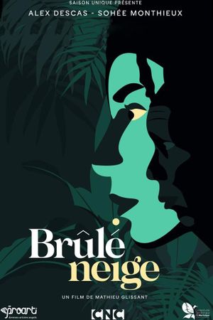 Brûlé neige's poster