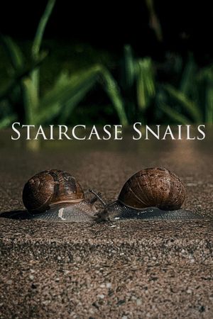 Staircase Snails's poster