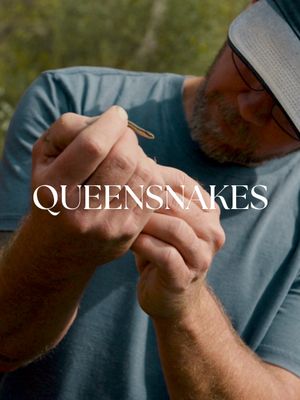 Queensnakes's poster